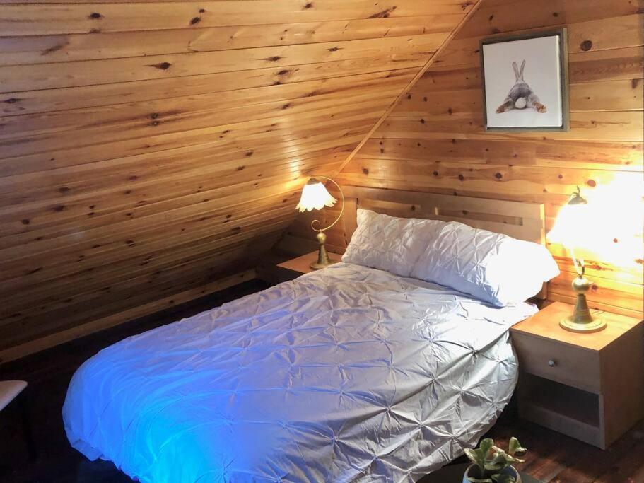 Chalet Riviere - Bord De Riviere - Romantique Сент-Алексис-де-Мон Экстерьер фото